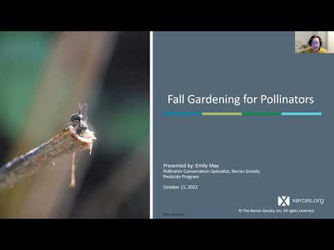 Fall Gardening for Pollinators: Leave the Leaves