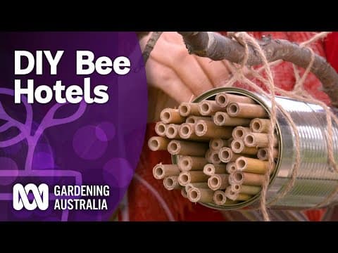 Give native bees a home in your garden with these easy DIY bee hotels