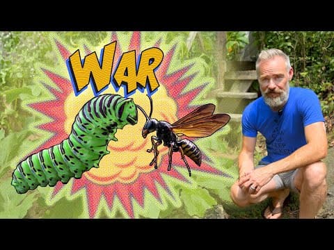 How to Fight Garden Pests by Attracting Beneficial Insects