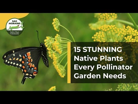 15 STUNNING Native Plants That Every Pollinator Garden Needs