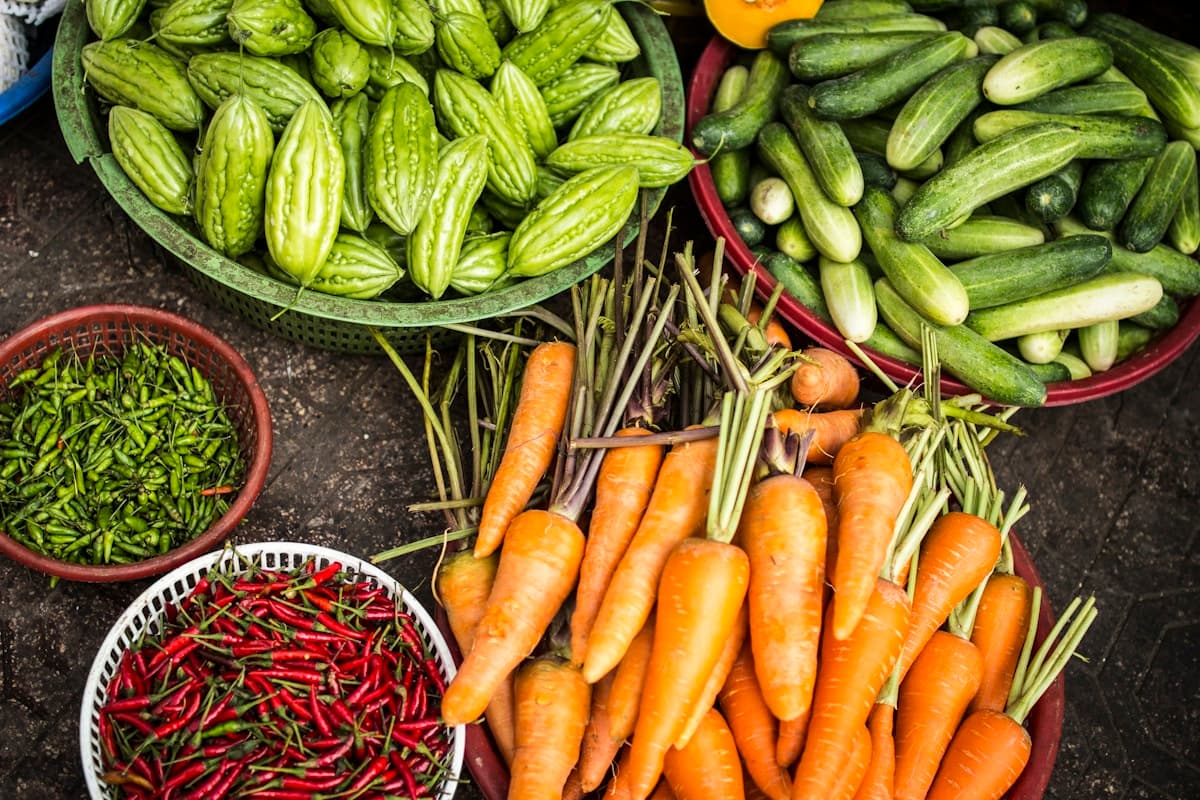A basket overflowing with freshly harvested mixed vegetables from a productive garden