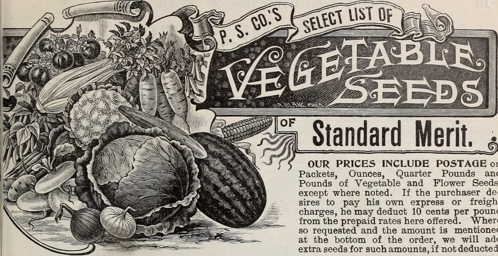 A vintage engraved illustration from a vegetable seed catalog showing cabbages, carrots, corn, and other garden crops