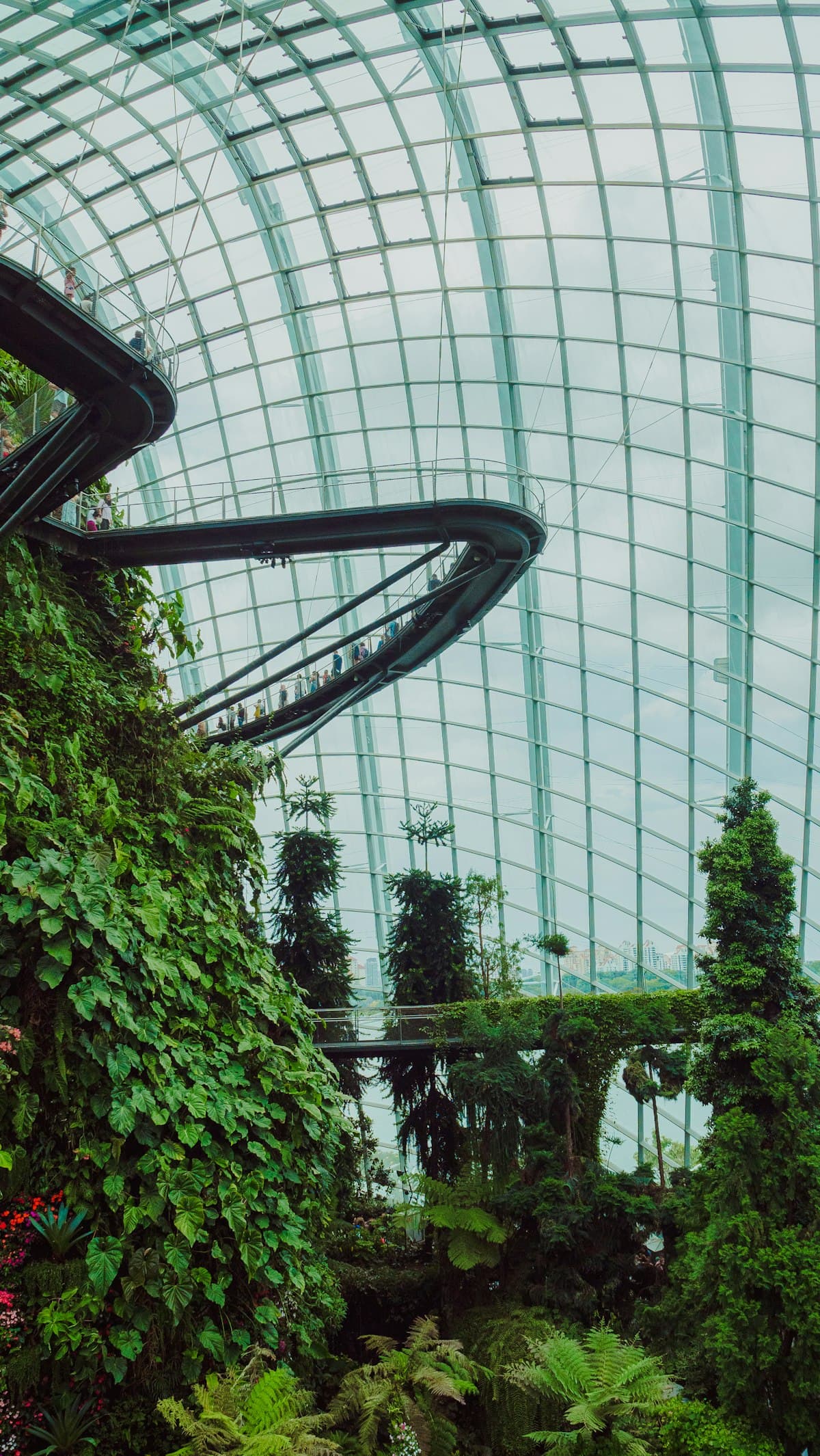 A glass greenhouse with lush greenery and walkways in a residential garden