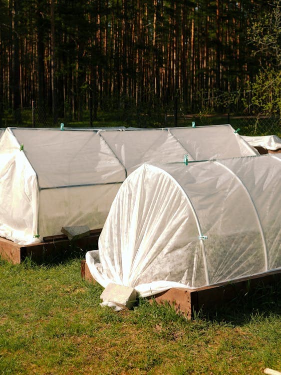 White row cover fabric draped over raised beds protecting crops from flying insects