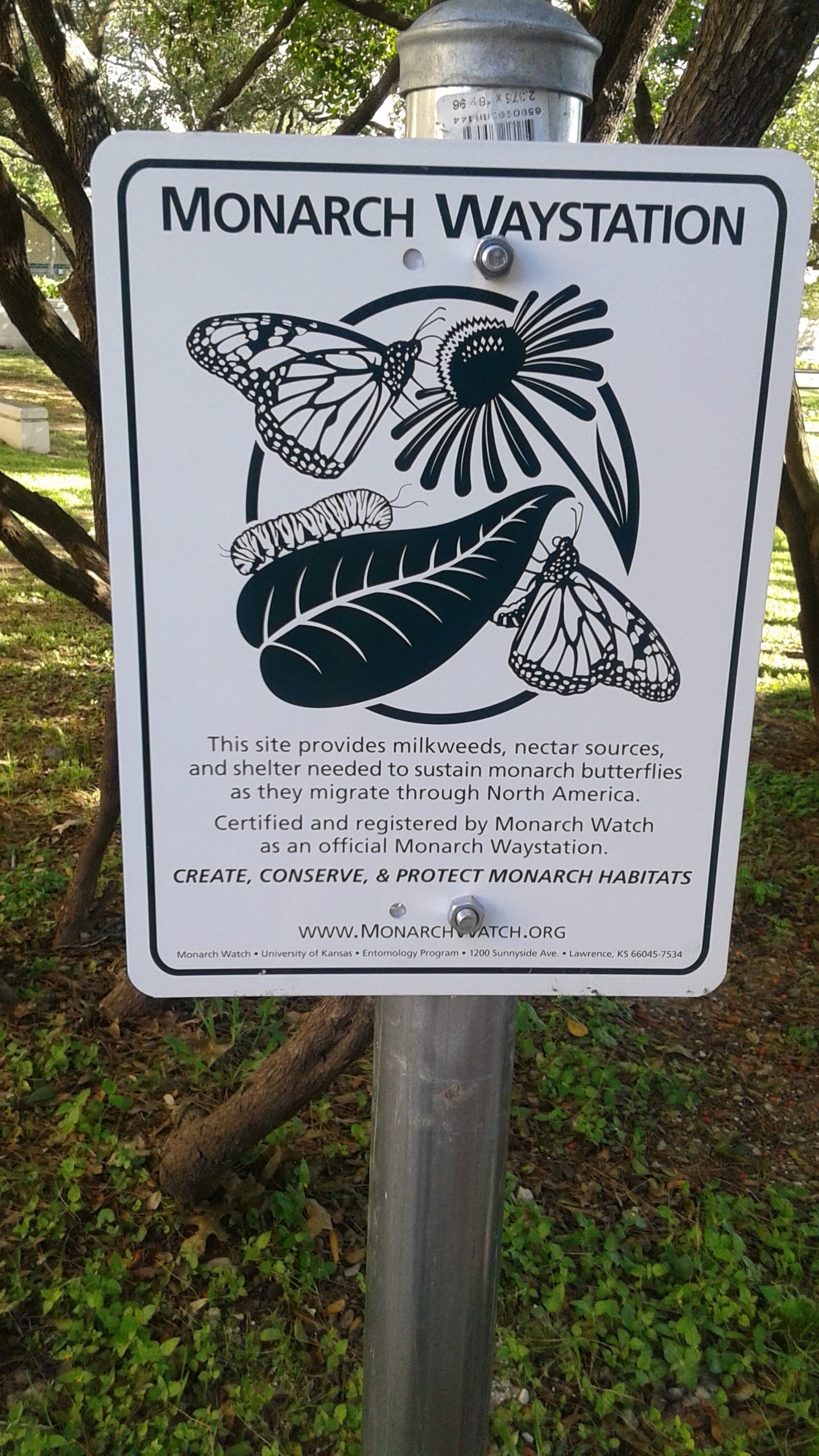 A Monarch Waystation sign installed in a garden