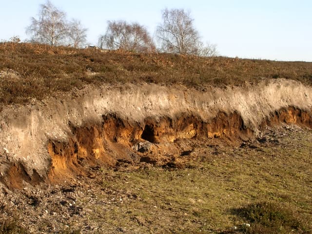 Exposed soil horizon showing distinct layers from topsoil to parent material